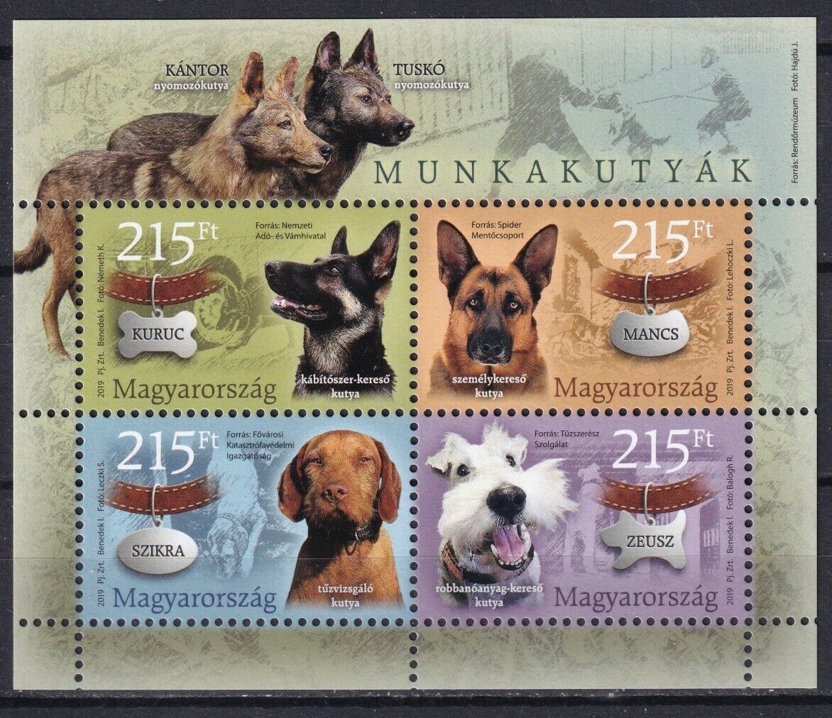 Hungary 2019 Animals, Pets, Dogs Mnh Sheet