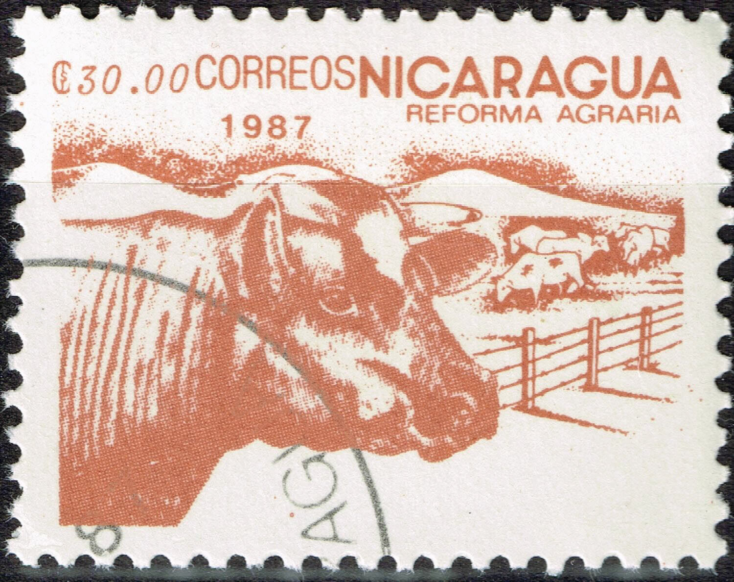 Nicaragua Farm Animals Cows Stamp 1987