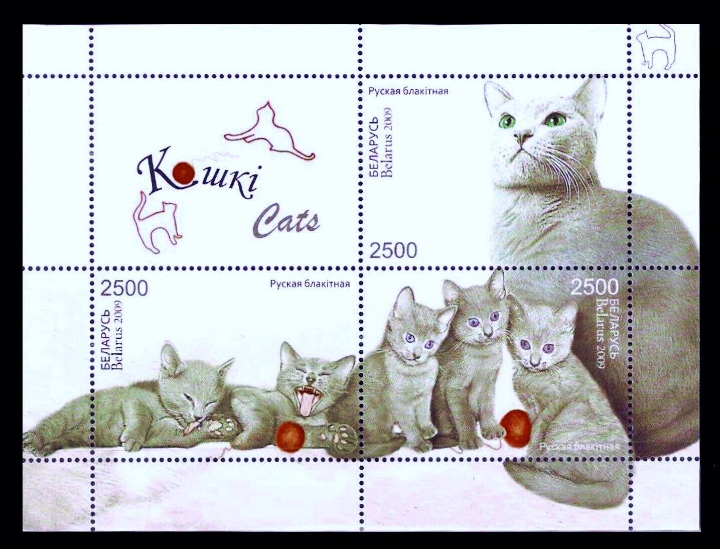 Belarus 2009 * Cats * Fauna * S/sheet * Mnh