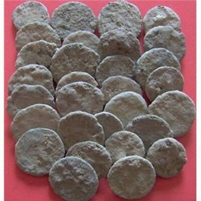 Uncleaned And Ungraded Crusty Roman Coins  Per Coin Buying/bidding !!
